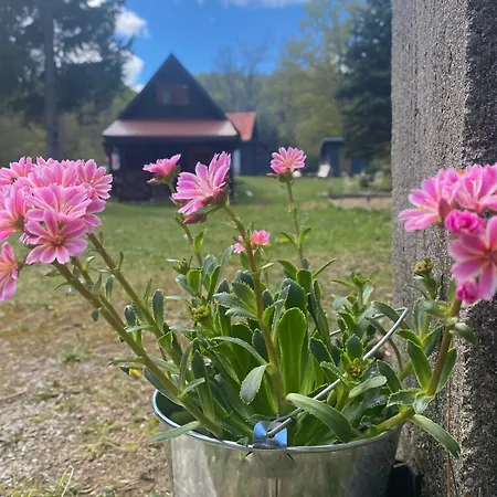 Chalet Puhova Koliba Delnice