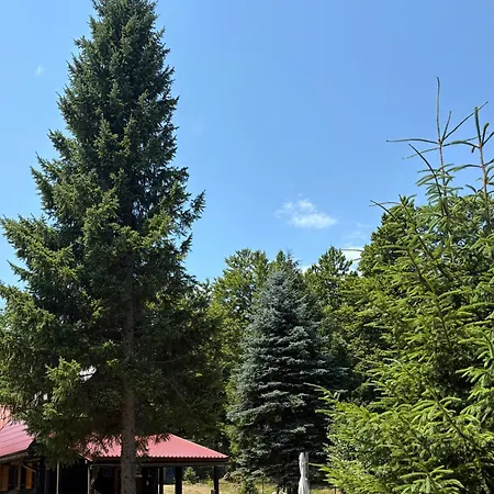 Puhova Koliba Chalet Delnice