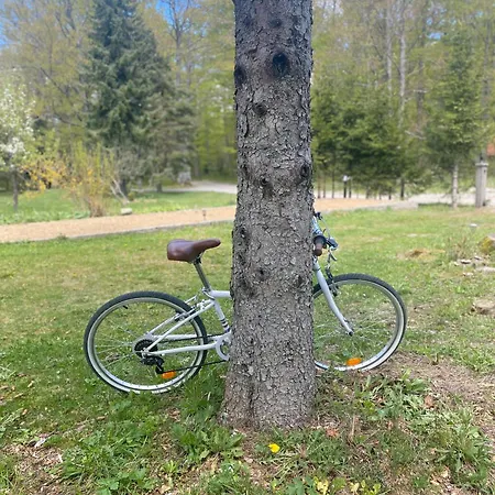 Chaletu Puhova Koliba *