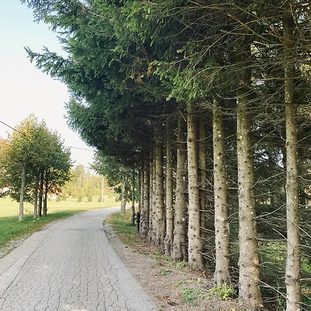 Domek alpejski Puhova Koliba